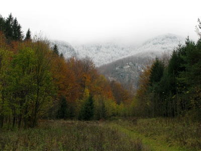 Str�ov v oblakoch